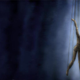 Illustration for article titled November 23, 2009
